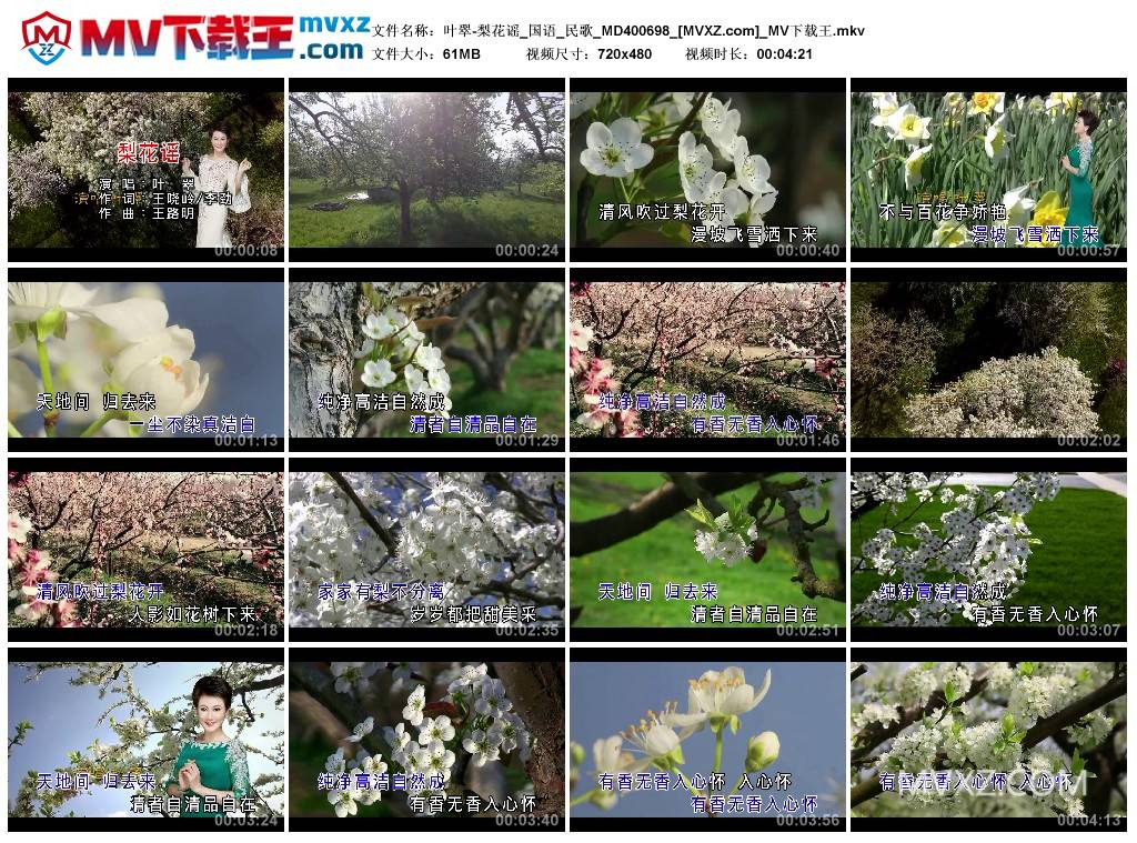 叶翠-梨花谣_国语_民歌_MD400698